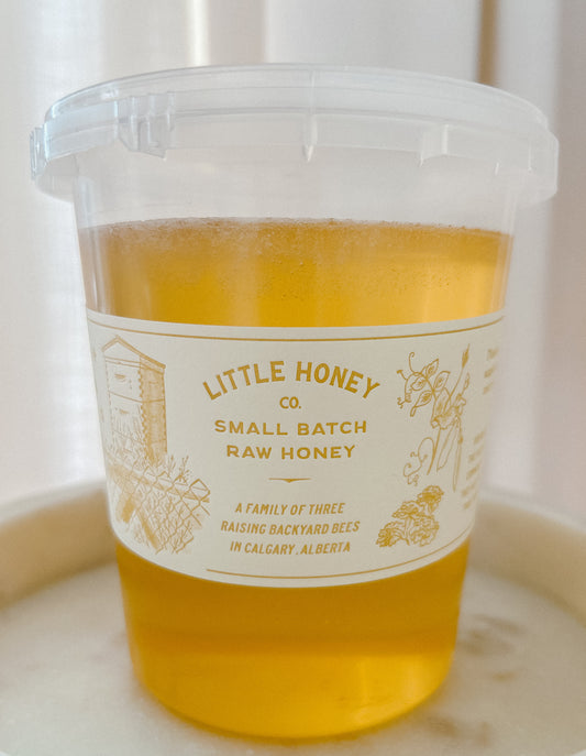 Honey Raw 1 kg